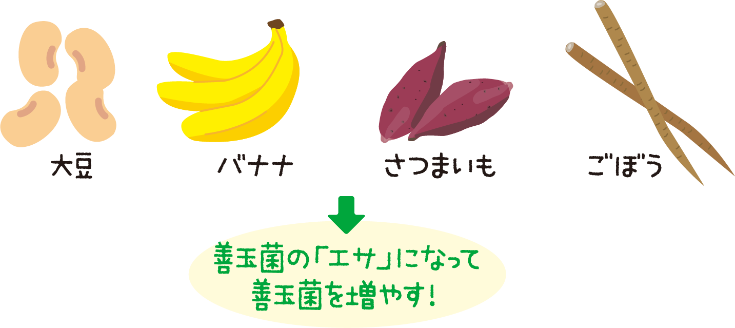 大豆　バナナ さつまいも　ごぼう 善玉菌の「エサ」になって善玉菌を増やす！
