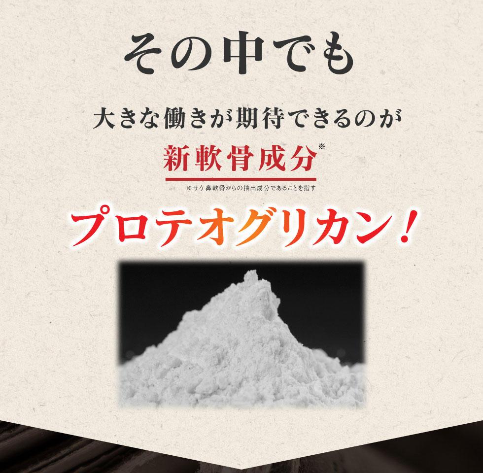 その中でも大きな動きが期待できるのが新軟骨成分プロテオグリカン！