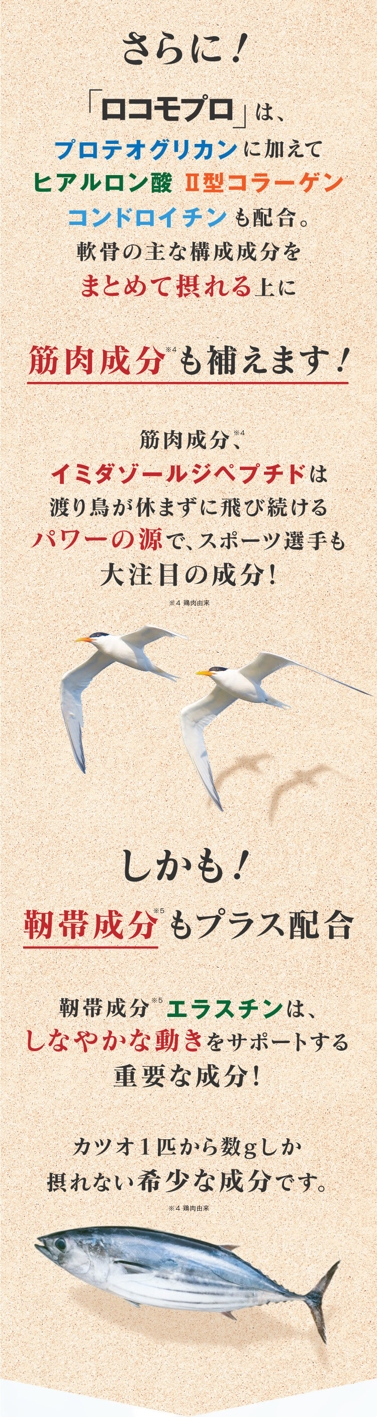 さらに！「ロコモプロ」は、プロテオグリカンに加えてヒアルロン酸、Ⅱ型コラーゲン、コンドロイチンも配合