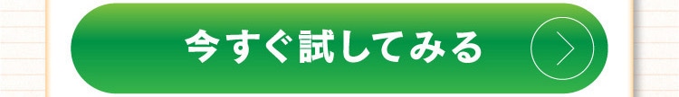 今すぐ試してみる！