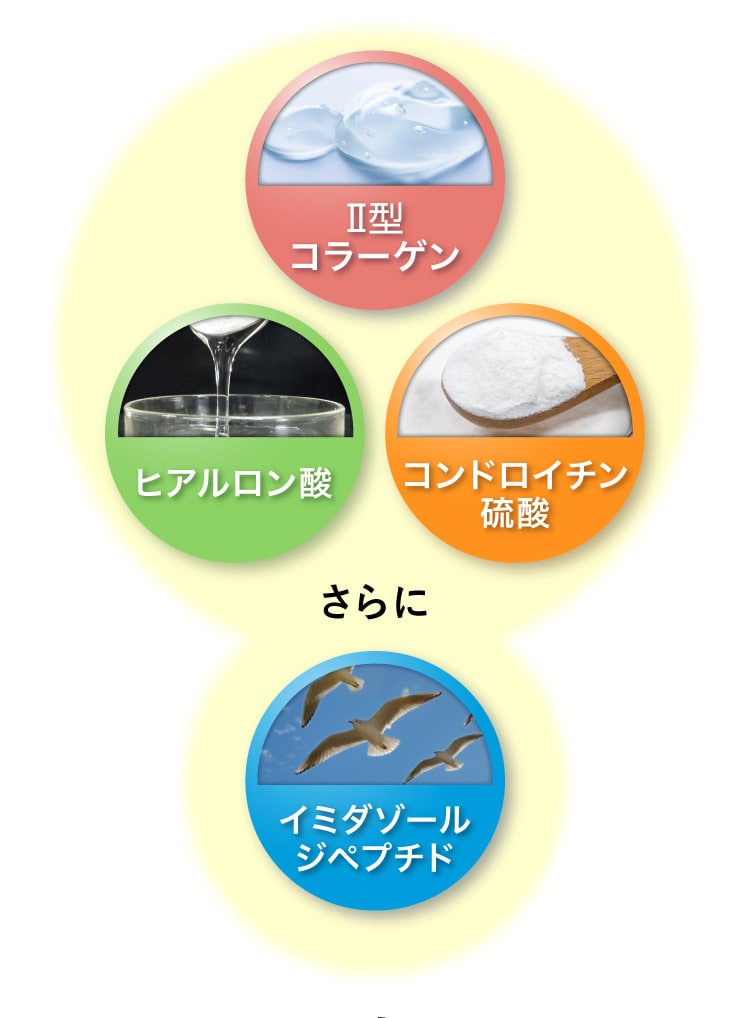 II型コラーゲン ヒアルロン酸 コンドロイチン硫酸 さらに イミダゾールジペプチド