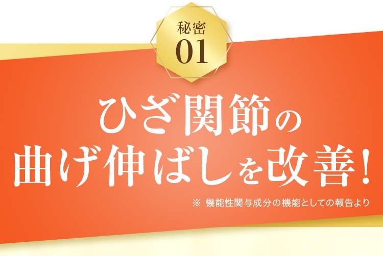 秘密01 ひざ関節の曲げ伸ばしを改善！