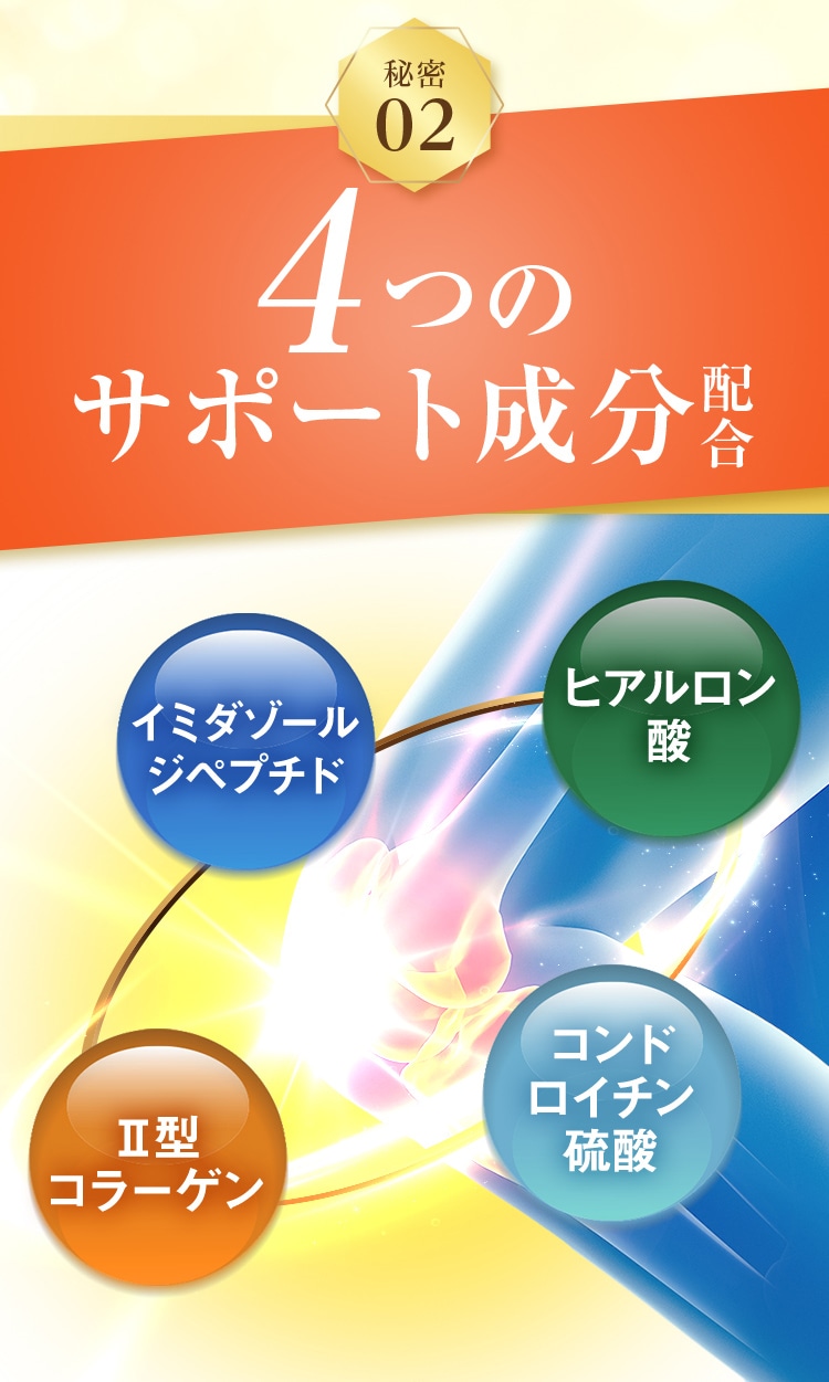 秘密02 4つのサポート成分配合