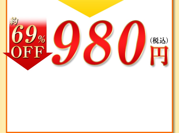 84%OFF 980円（税込）