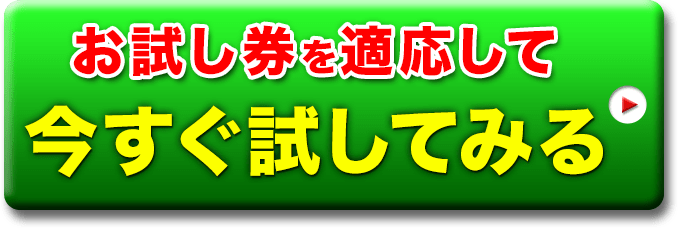 お試し券を適応して 今すぐ試してみる