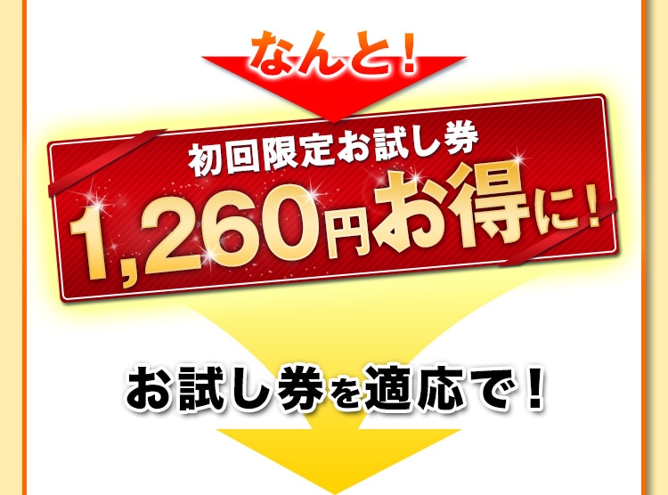 通常価格3,240円(税込)  1,260円割引! お試し券を適応で！
