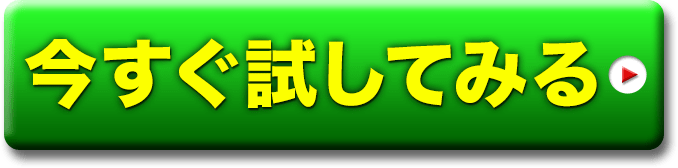 お試し券を適応して 今すぐ試してみる