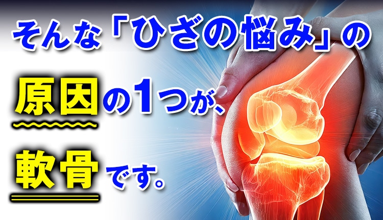 そんな「ひざの悩み」の原因の1つが、軟骨です。