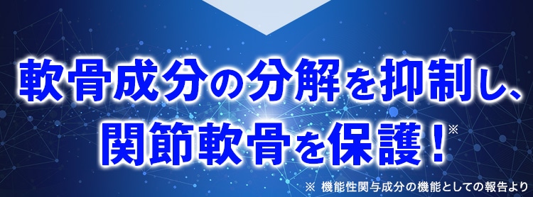 軟骨成分の分解を抑制し、関節軟骨を保護！※ 機能性関与成分の機能としての報告より