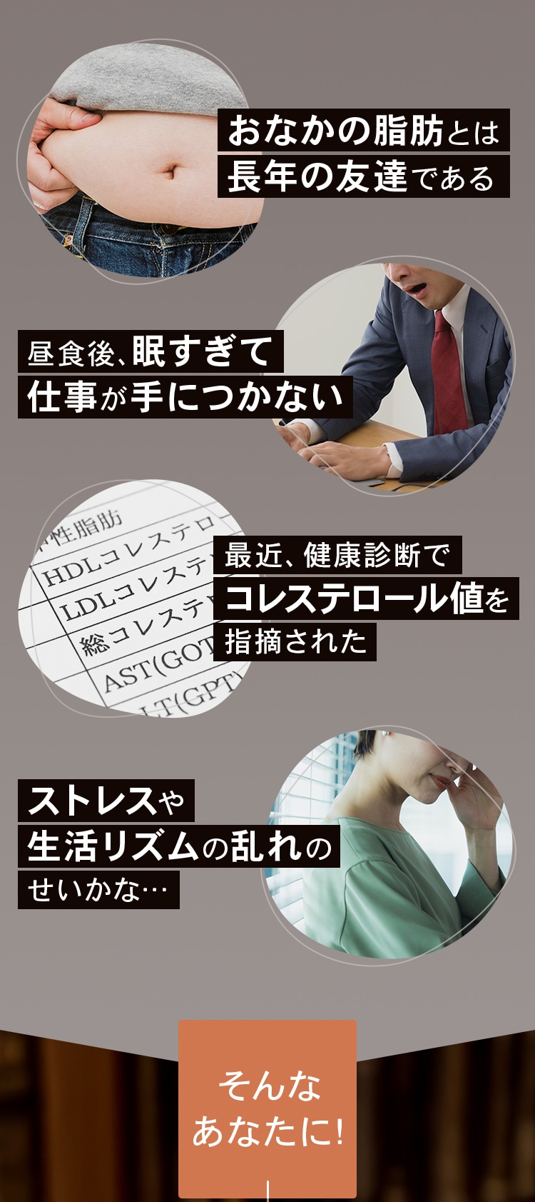 おなかの脂肪とは長年の友達である 昼食後、眠すぎて仕事が手につかない 最近、健康診断でコレステロール値を指摘された ストレスや生活リズムの乱れのせいかな... そんなあなたに
