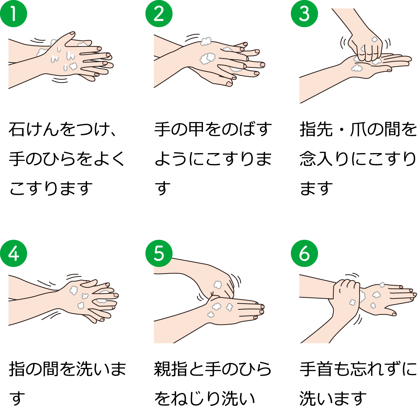 1.石けんをつけ、手のひらをよくこすります 2.手の甲を伸ばすようにこすります 3.指先・爪の間を念入りにこすります 4.指の間を洗います 5.親指と手のひらをねじり洗い 6.手首も忘れずに洗います
