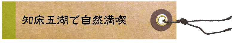 知床 5湖で自然満喫