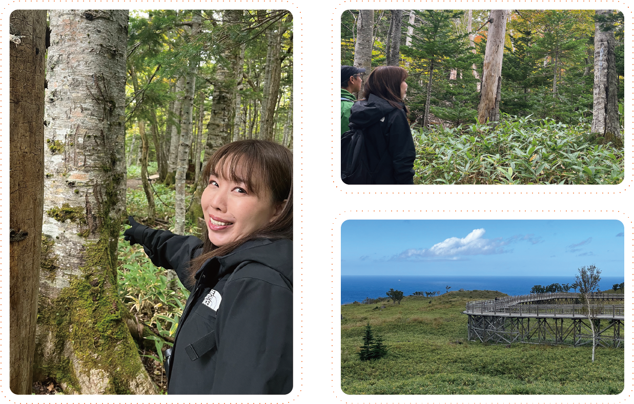 知床五湖の散策風景