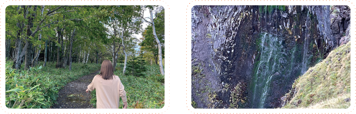 フレペの滝へ向かう散策路の風景