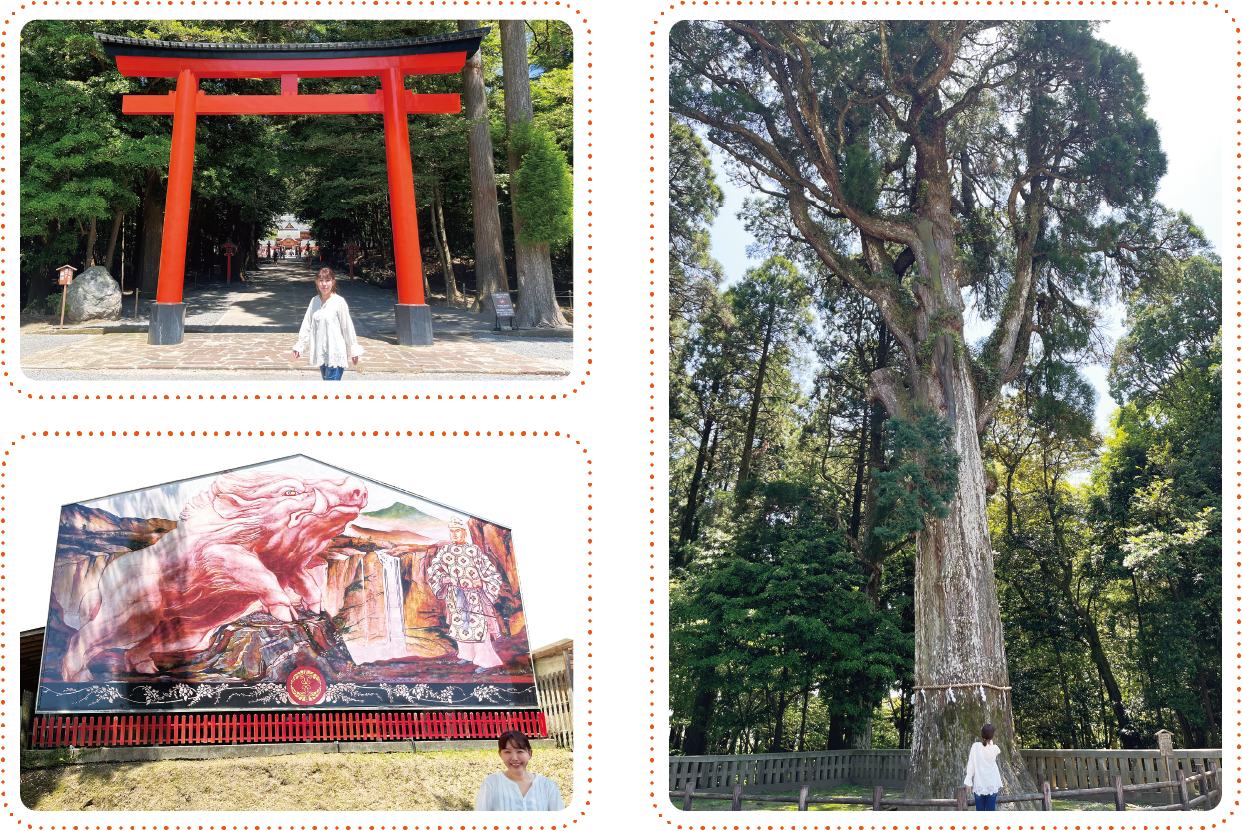 霧島神宮・和気神社などのスポット