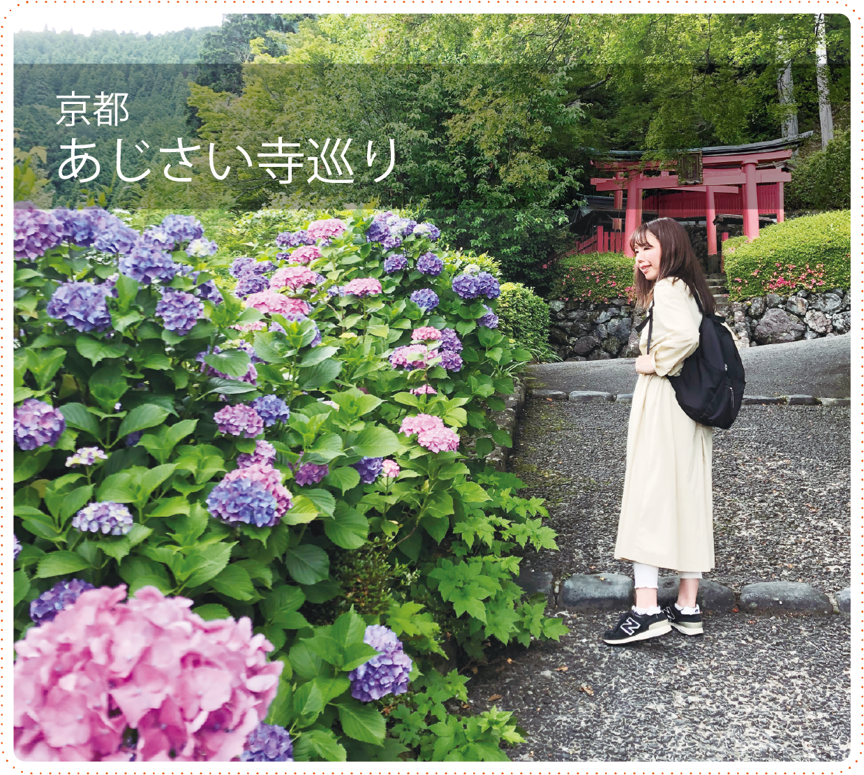 京都 あじさい寺めぐり（KV）