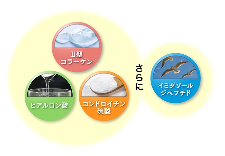 コラーゲン・ヒアルロン酸・コンドロイチン硫酸、さらに、イミダゾール ジベブチド