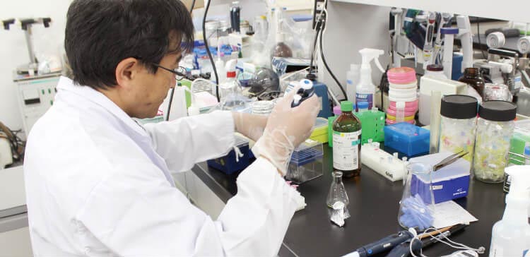 プロテオグリカン量産抽出に成功