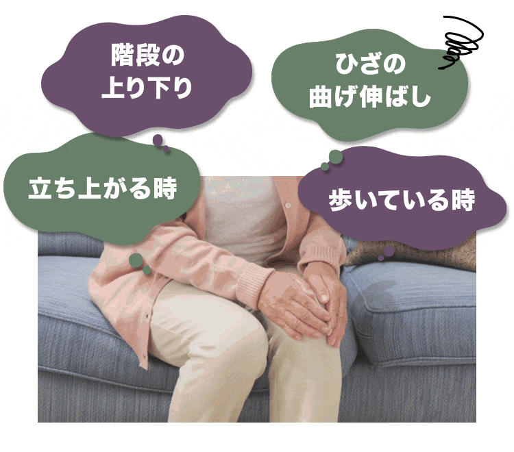 prologo ( プロロゴ ) サドル NEW KAPPA ( ニュー カッパ ) T2.0