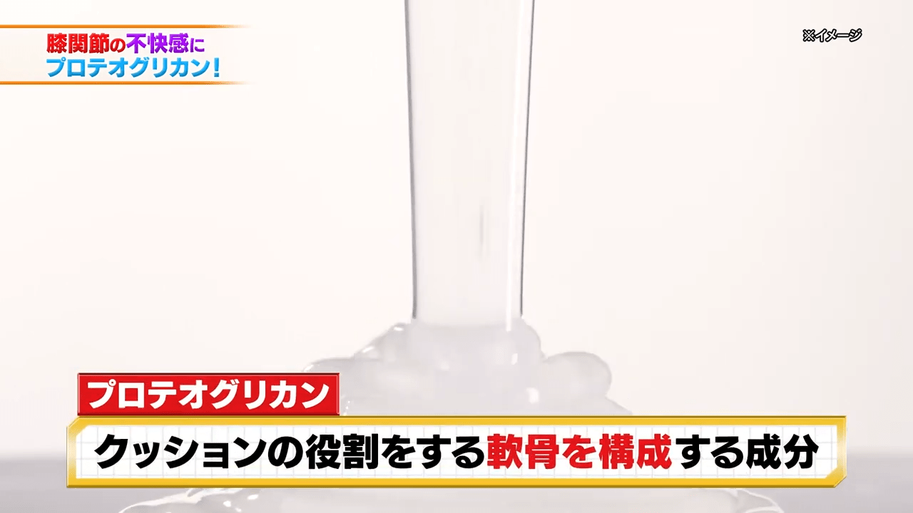 プロテオグリカン