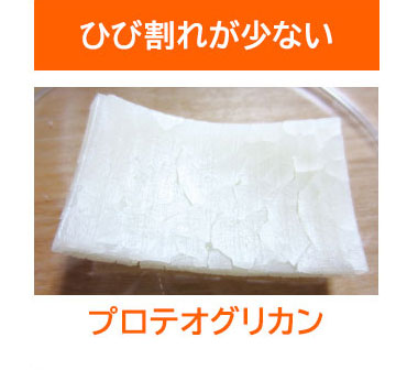 プロテオグリカン ひび割れが少ない