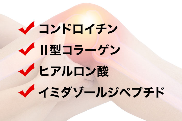 コンドロイチン Ⅱ型コラーゲン ヒアルロン酸 イミダゾールジペプチド

