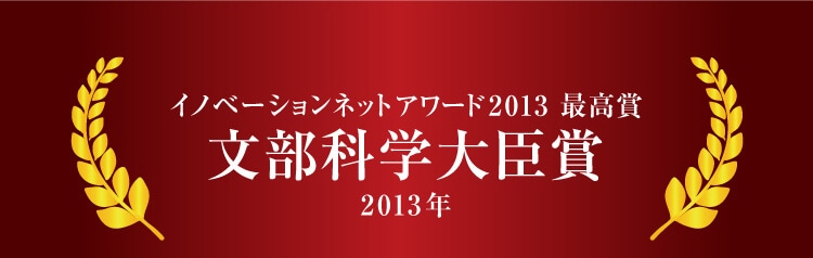 2013年 イノベーションネットアワード2013 最高賞 文部科学大臣賞