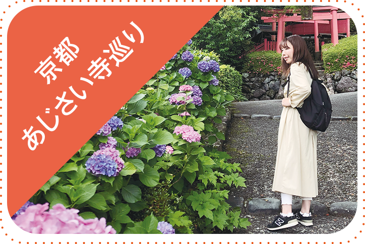 京都あじさい寺巡り旅