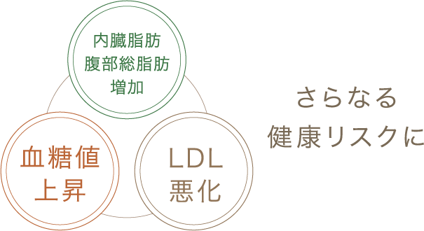 内臓脂肪 腹部総脂肪増加 血糖値上昇 LDL悪化 さらなる健康リスクに