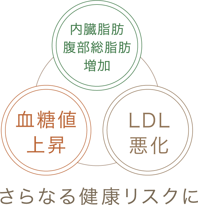 内臓脂肪 腹部総脂肪増加 血糖値上昇 LDL悪化 さらなる健康リスクに